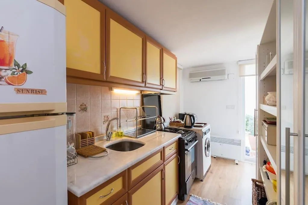Rooftop Flat With A Great Sea View Terrace Istanbul 0*,